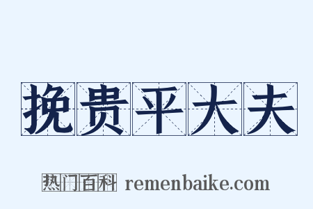 挽贵平大夫是什么意思的图片